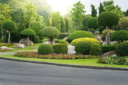 Landscape Design & Installation Thumbnail