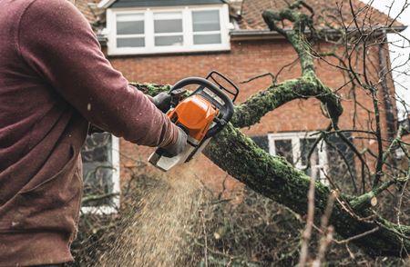 Tree Trimming Thumbnail